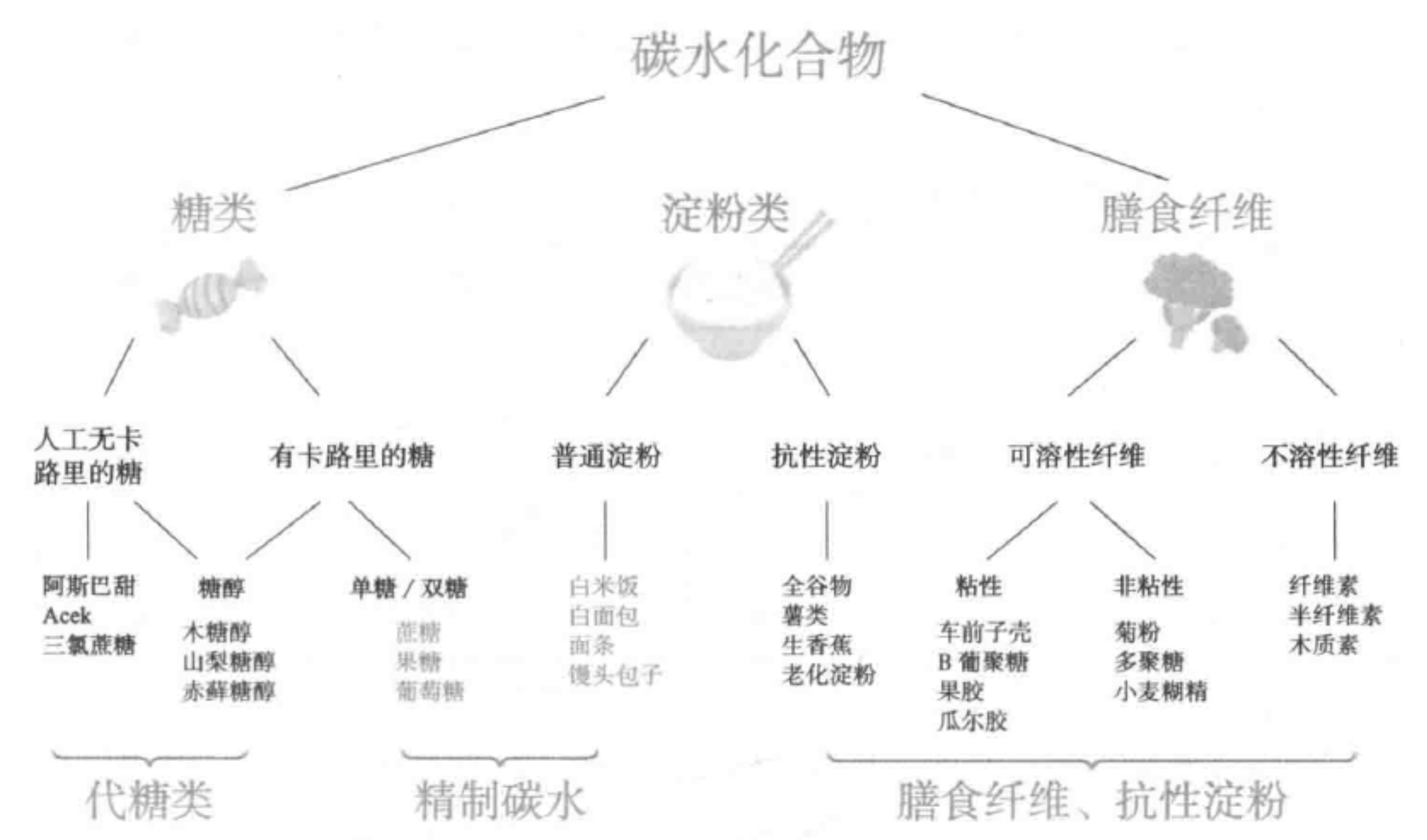 碳水化合物功能性分类